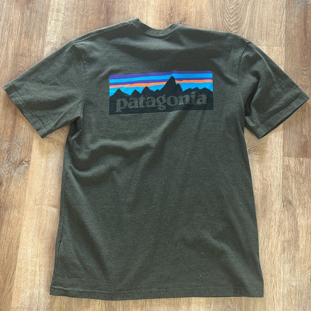 Patagonia Responsibili-tee